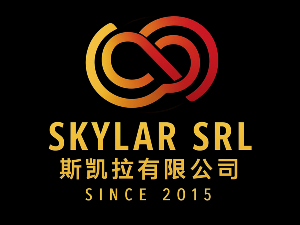 Skylar 无限 logo